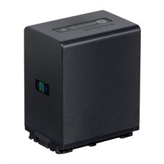 Sony NP-FV100A batteria ioni di litio per serie V