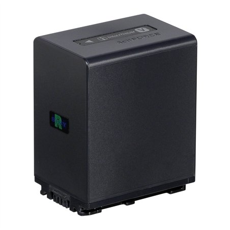 Sony NP-FV100A batteria ioni di litio per serie V