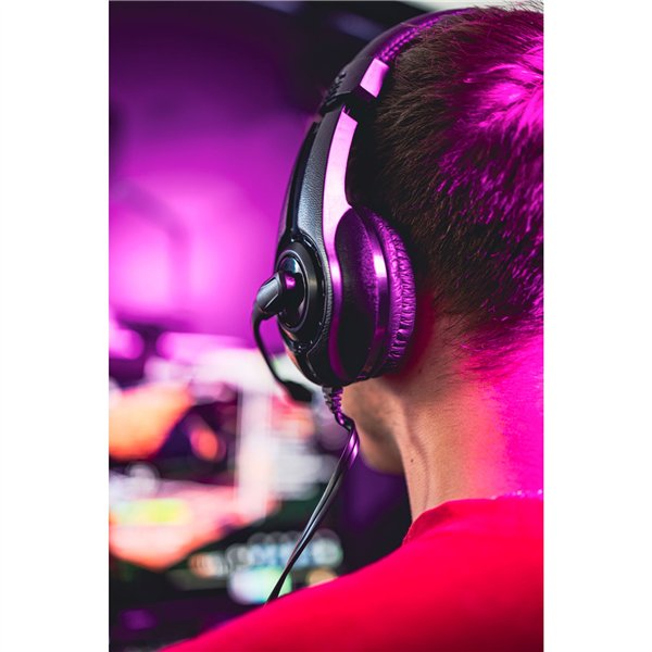 Speedlink LEGATOS Gaming Headset für PC/PS5/Xbox X/S/Switch 2