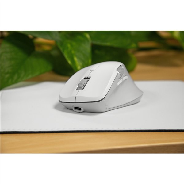 Speedlink LIBERA Rechargeable Mouse Wireless BT Silent white