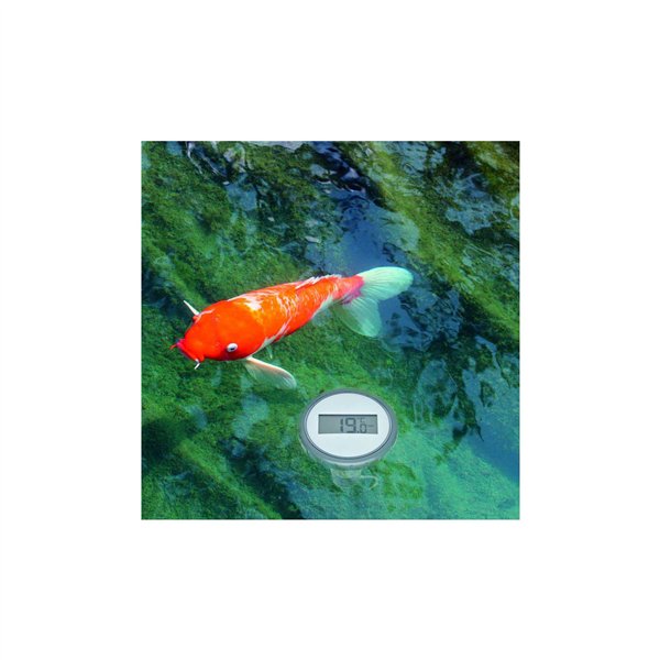 TFA 30.3067.10 Telecomando Pool Termometro