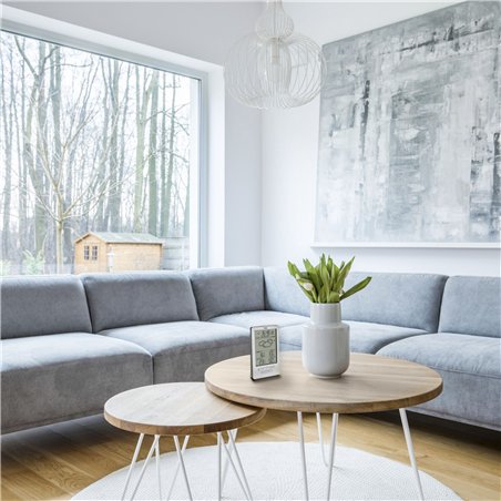 TFA 35.1162.54  XENA stazione meteo radiocontroll.