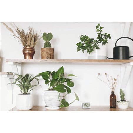 TFA 30.5055.02 termo-igrometro digitale