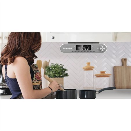 Technisat Viola argento