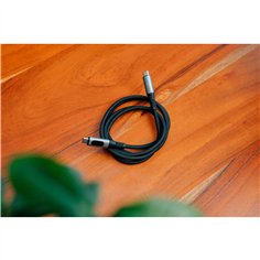 100x1 Varta electronic V 10 GA PU Master box