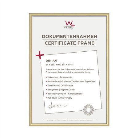 Walther New Lifestyle    21x29,7 plastica oro DIN A4 KV130G