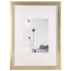 Walther Beyond DIN A3    29,7x42 plastica champag./oro JI342C