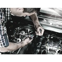 WERA 8767 C TORX HF 2 Zyklop inserti-buss. TORX con funz.rit. 2