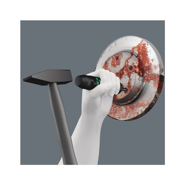 Wera 2090/17 assortimento di giravite