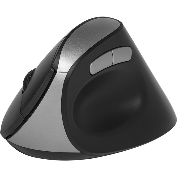Rapoo EV250 Schwarz Wireless Ergonomic Mouse