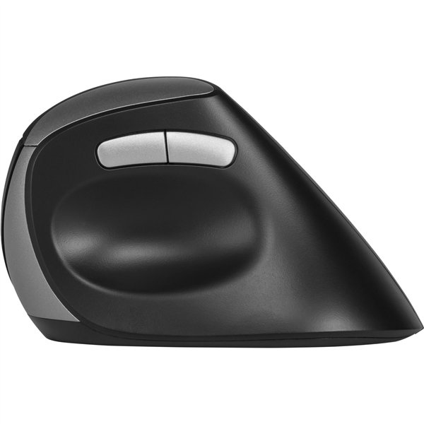 Rapoo EV250 Schwarz Wireless Ergonomic Mouse