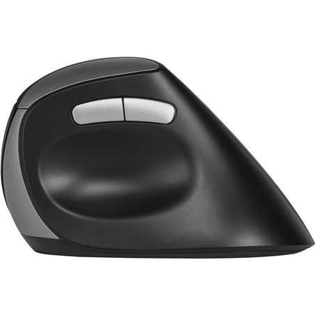 Rapoo EV250 Schwarz Wireless Ergonomic Mouse