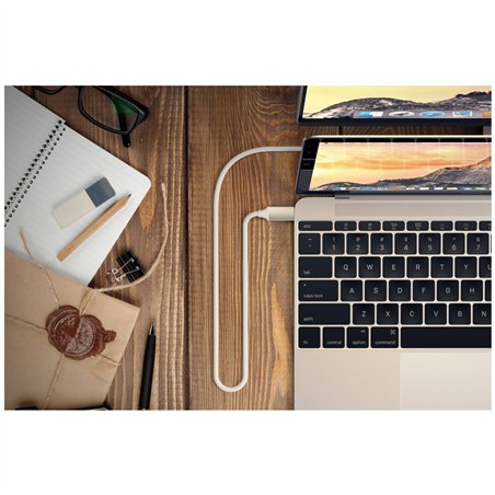 Satechi Type-C zu 4K HDMI cavo argento