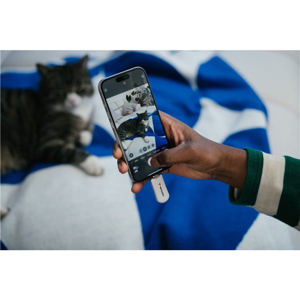 Verbatim Plectra bianco 64GB USB-C Flash Drive          30228