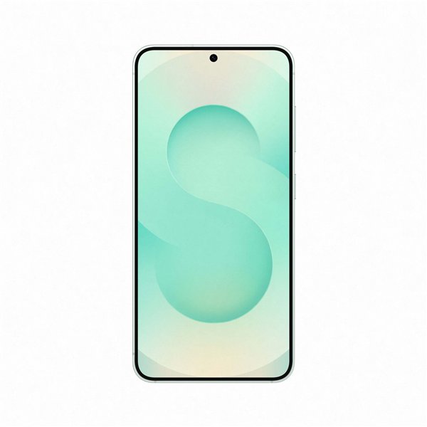 Samsung Galaxy S25 256GB Mint