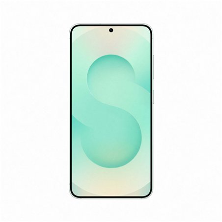Samsung Galaxy S25 256GB Mint