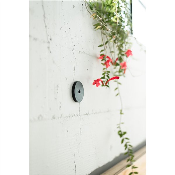 Moment Wall Mount for MagSafe