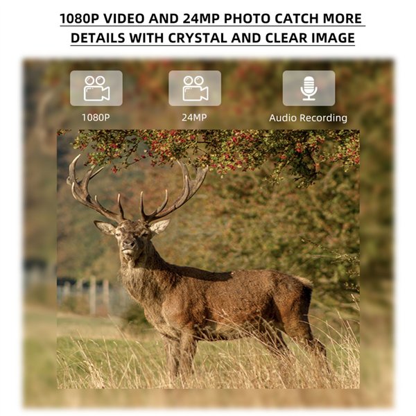 Stealth Gear Hedgehog 1080p 4G Wildkamera