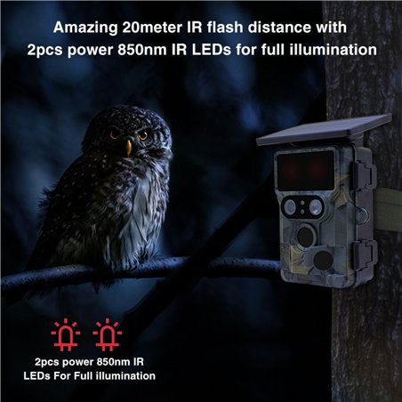 Stealth Gear Nightjar Dual Solar Wildkamera