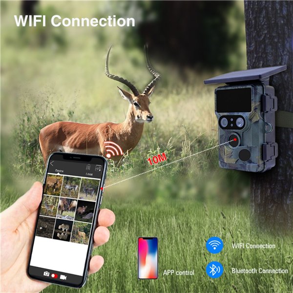 Stealth Gear Nightjar Dual Solar Wildkamera