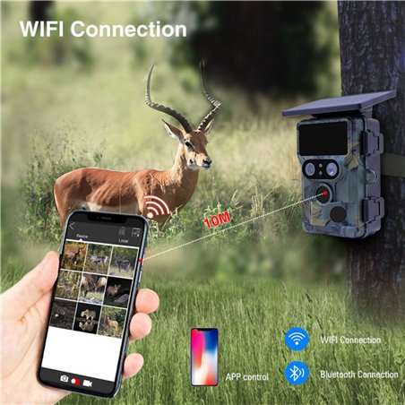 Stealth Gear Nightjar Dual Solar Wildkamera