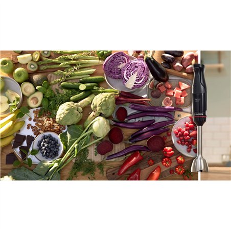 Bosch MSM 4B6V2 ErgoMaster Serie 4 nero / gr.