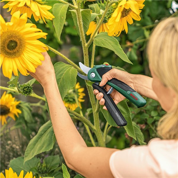 Bosch EASYPRUNE Cordless Pruner CLASSIC