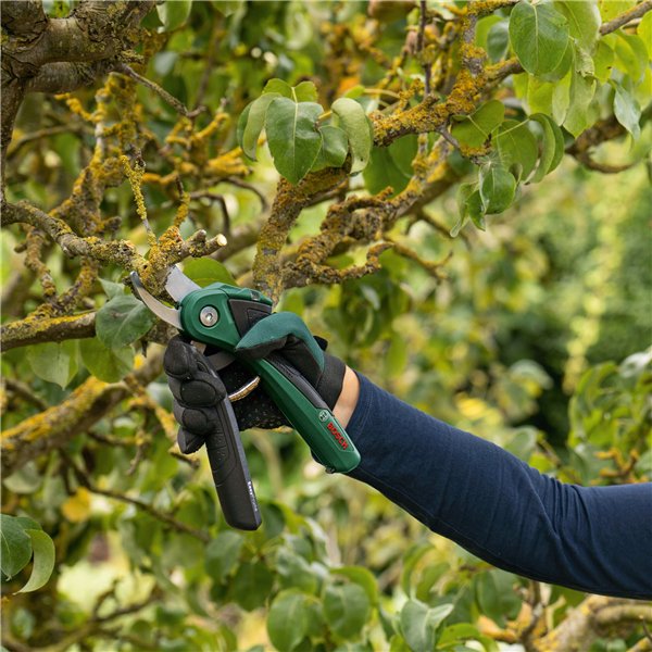 Bosch EASYPRUNE Cordless Pruner CLASSIC