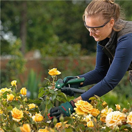 Bosch EASYPRUNE Cordless Pruner CLASSIC