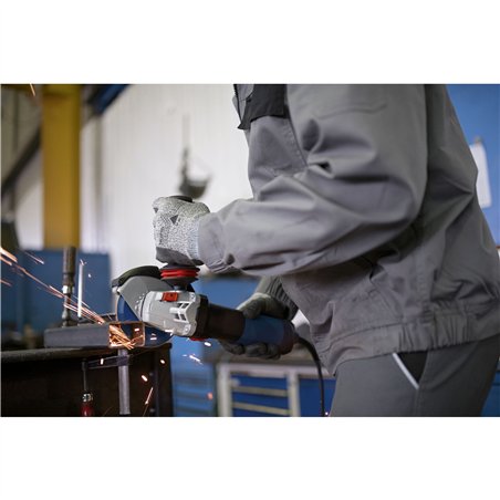 Bosch GWS 17-125 S Inox Smerigliatrice angolare