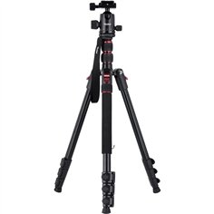 Rollei Compact Traveler No. 2