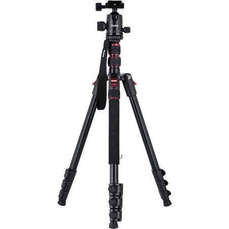 Rollei Compact Traveler No. 2