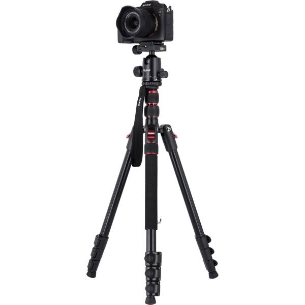 Rollei Compact Traveler No. 2