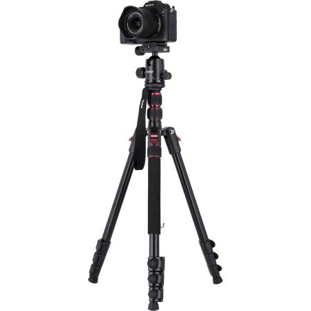 Rollei Compact Traveler No. 2