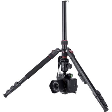 Rollei Compact Traveler No. 2