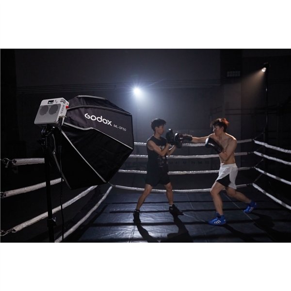 Godox ML100 Bi-color