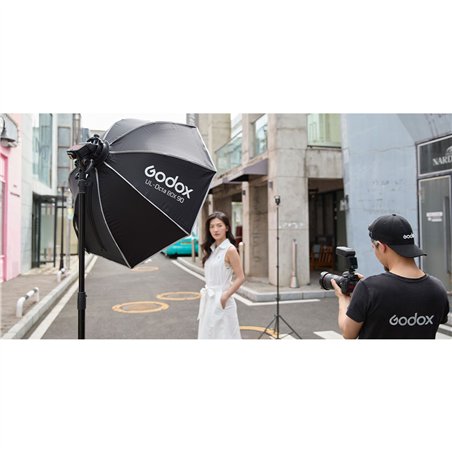 Godox V480 S              Sony