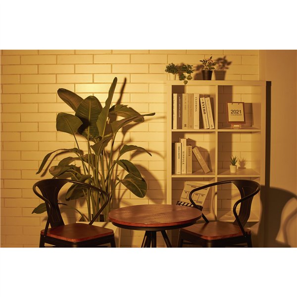 Godox SZ150R  RGB LED Light Bi-Color zoombar