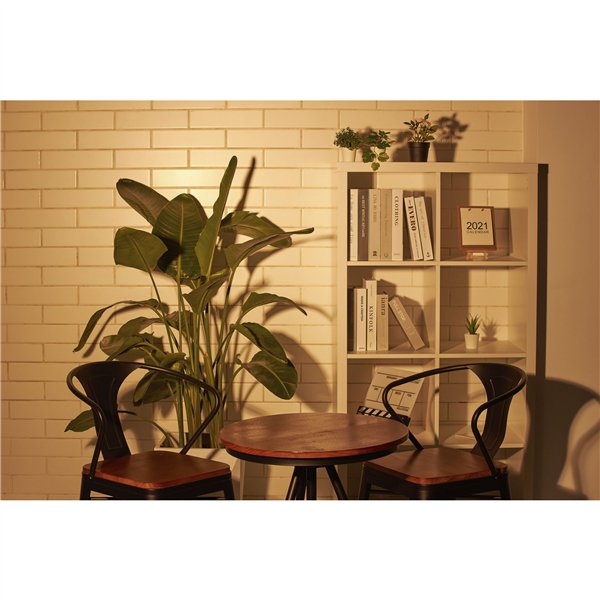 Godox SZ150R  RGB LED Light Bi-Color zoombar