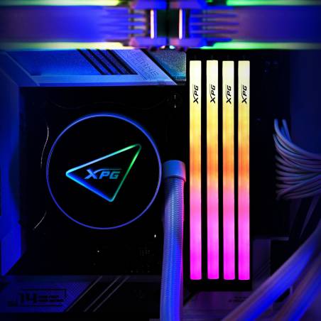 ADATA-XPG Spectrix D35G DDR4 3600 RGB nero 16GB (2x8GB)