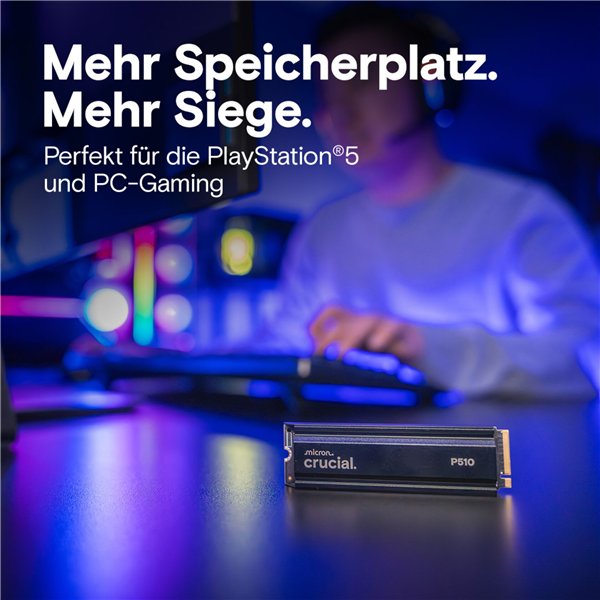 Crucial P510 Gen5 2280       2TB NVMe PCIe M.2 SSD c. diss.calore
