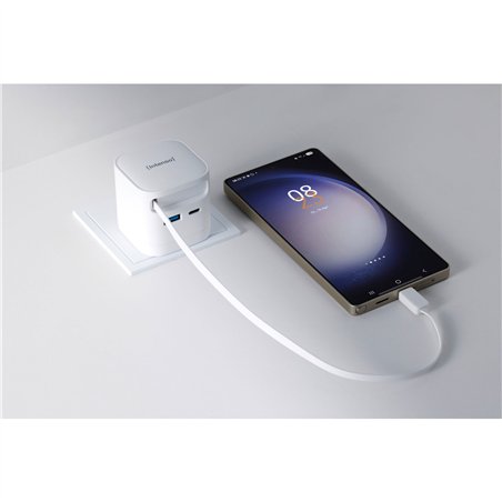 Intenso Power Adapt. W65ACIC 65W 2xUSB-C/USB-A ausziehb.Kab. weiß