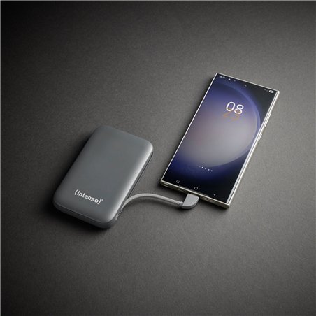 Intenso Powerb. S10000  10000mAh integr.USB-C Kabel, grau 7333034