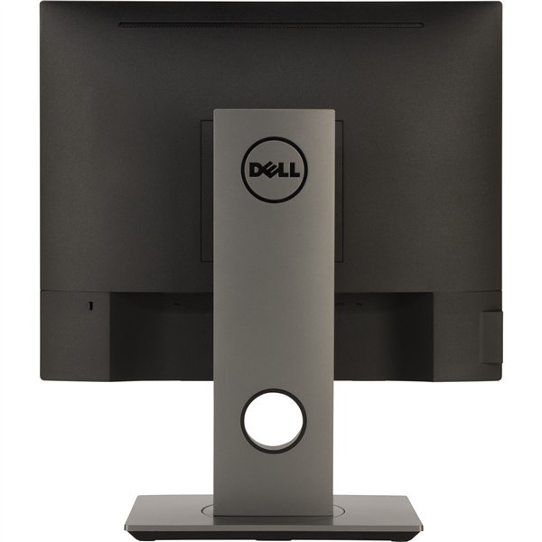Dell P1917SE