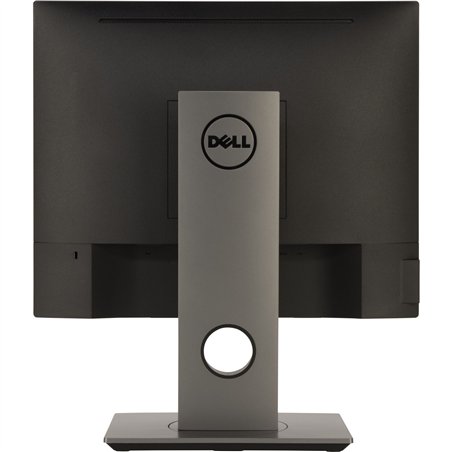 Dell P1917SE