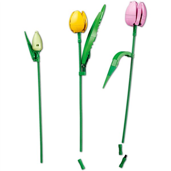 LEGO Botanicals 11501 Tulip Bouquet