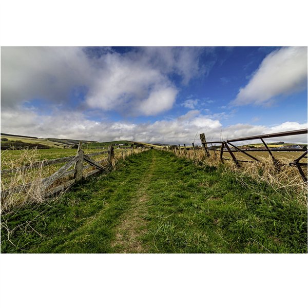 Samyang MF 2,8/14 MK2   Canon EF