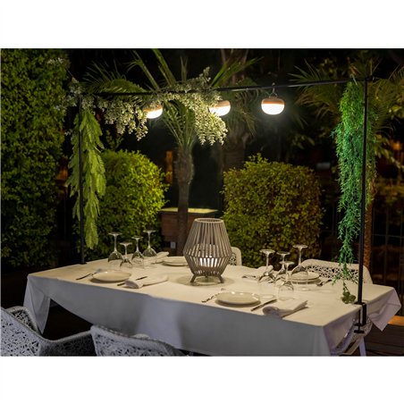 New Garden CHERRY BULB BATTERY Solar&Rechargeable warm light