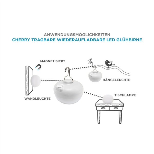 New Garden CHERRY BULB BATTERY Solar&Recharge,white,warm light