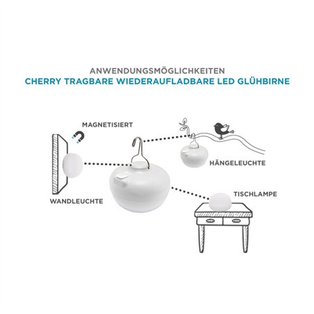 New Garden CHERRY BULB BATTERY Solar&Recharge,white,warm light